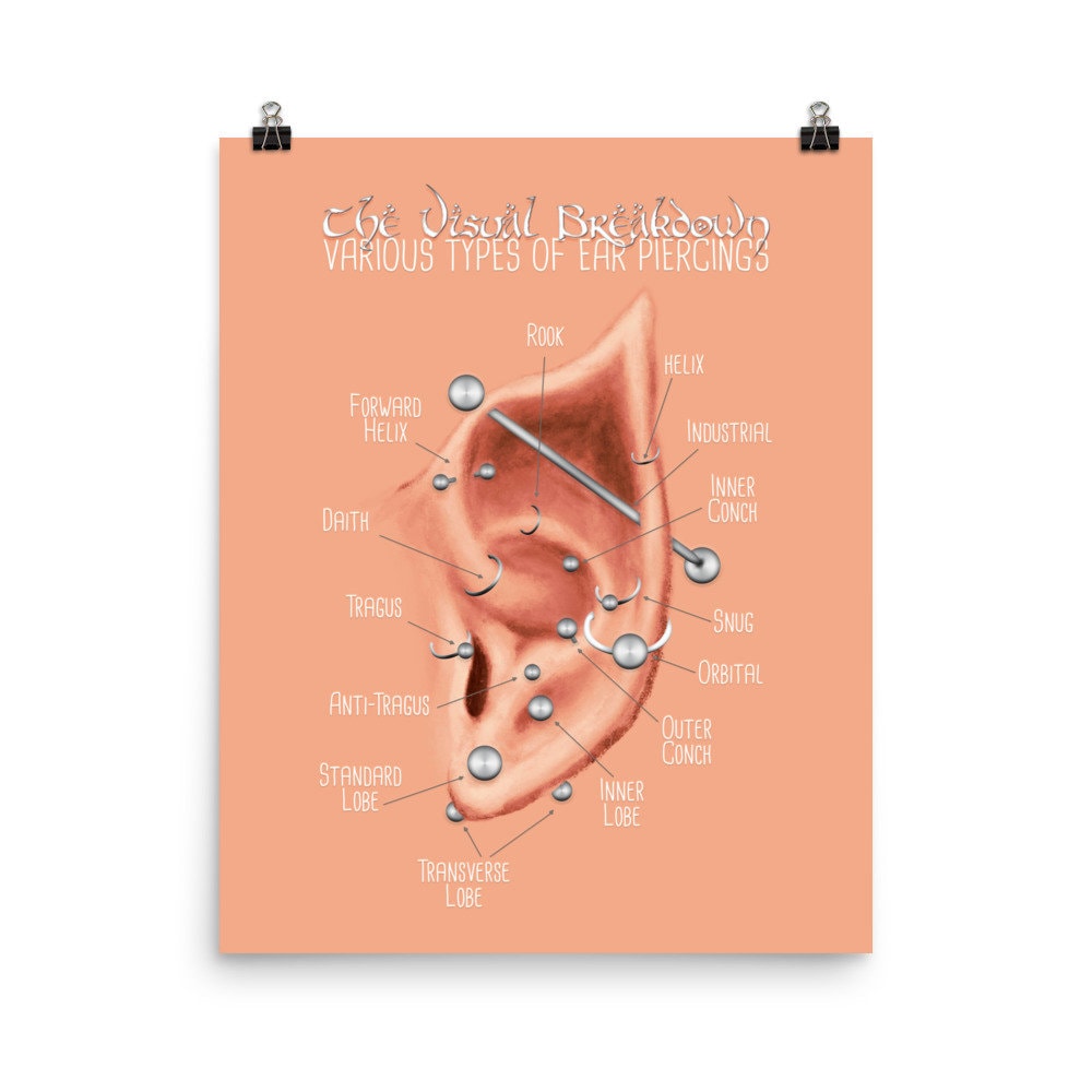 Elf Ear Piercing Chart Light Skin Tone Elvish Ear Piercing Map