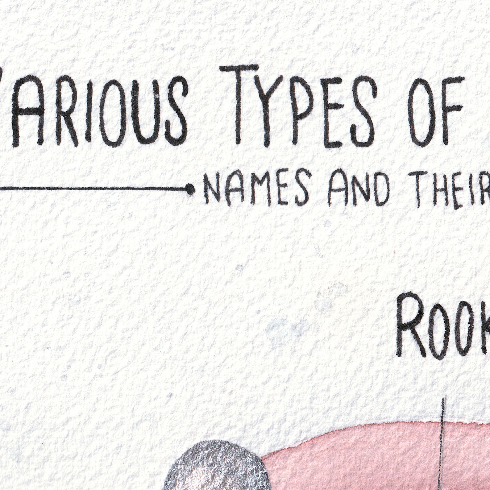 Watercolor Ear Piercing Chart Art Various Ear Piercing Locations