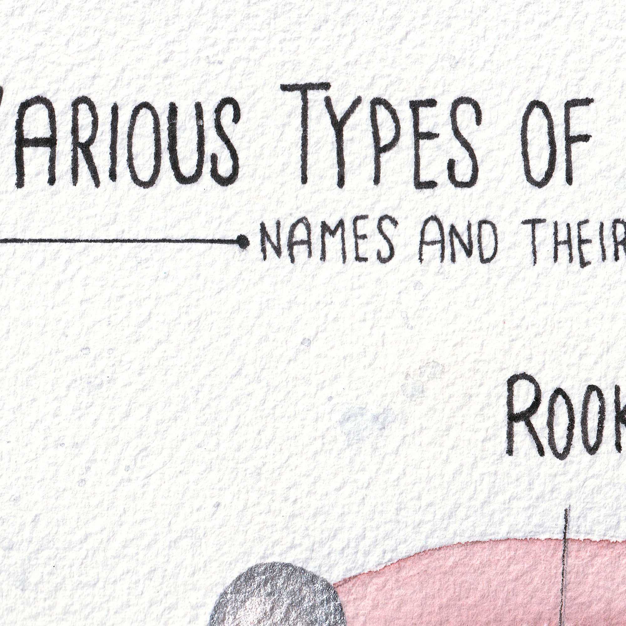 Watercolor Ear Piercing Chart Art Various Ear Piercing Locations