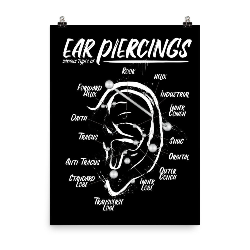 Ear Piercing Chart Infographic Print Wall Art Black and White Ink Poster