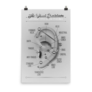 Väggkonst med infografik över öronpiercing i svart och grått (matchande version för ansiktspiercing)