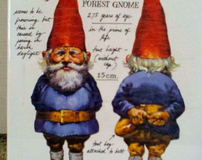 Vintage Original Gnomes Book From the 1970's Etsy