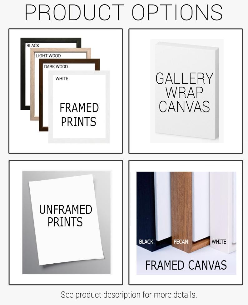 four different types of canvass are shown