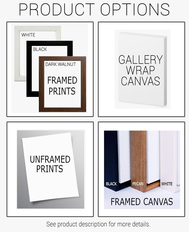 four different types of frames and canvass