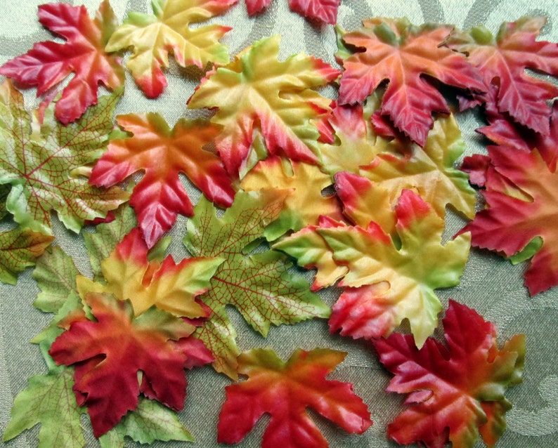 Maple Fall Leaves Autumn Yellow Green Red Mix Wedding Scatter Etsy