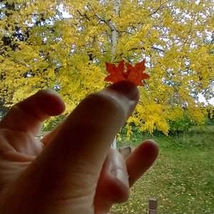 May include: A hand holding a single orange and red maple leaf against a backdrop of yellow autumn leaves.