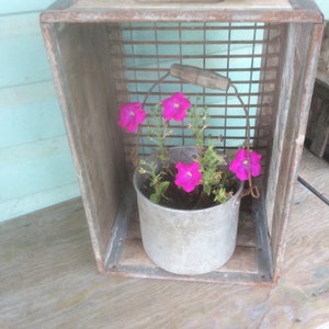 Pode incluir: Um balde de metal galvanizado cheio de petúnias rosa vibrantes, colocado dentro de uma caixa de madeira rústica com uma frente de malha de arame. O balde tem uma alça de metal com uma pega de madeira. A caixa está sobre uma superfície de madeira, com uma parede azul clara ao fundo.