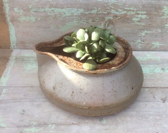 Antique Steel Bedpan, Rustic Medical Decor, Vintage Planter