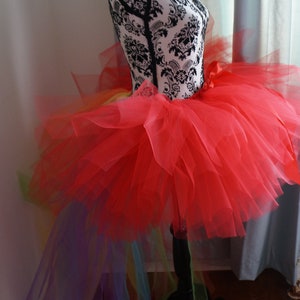 Adult Rainbow Bustle Tutu image 5