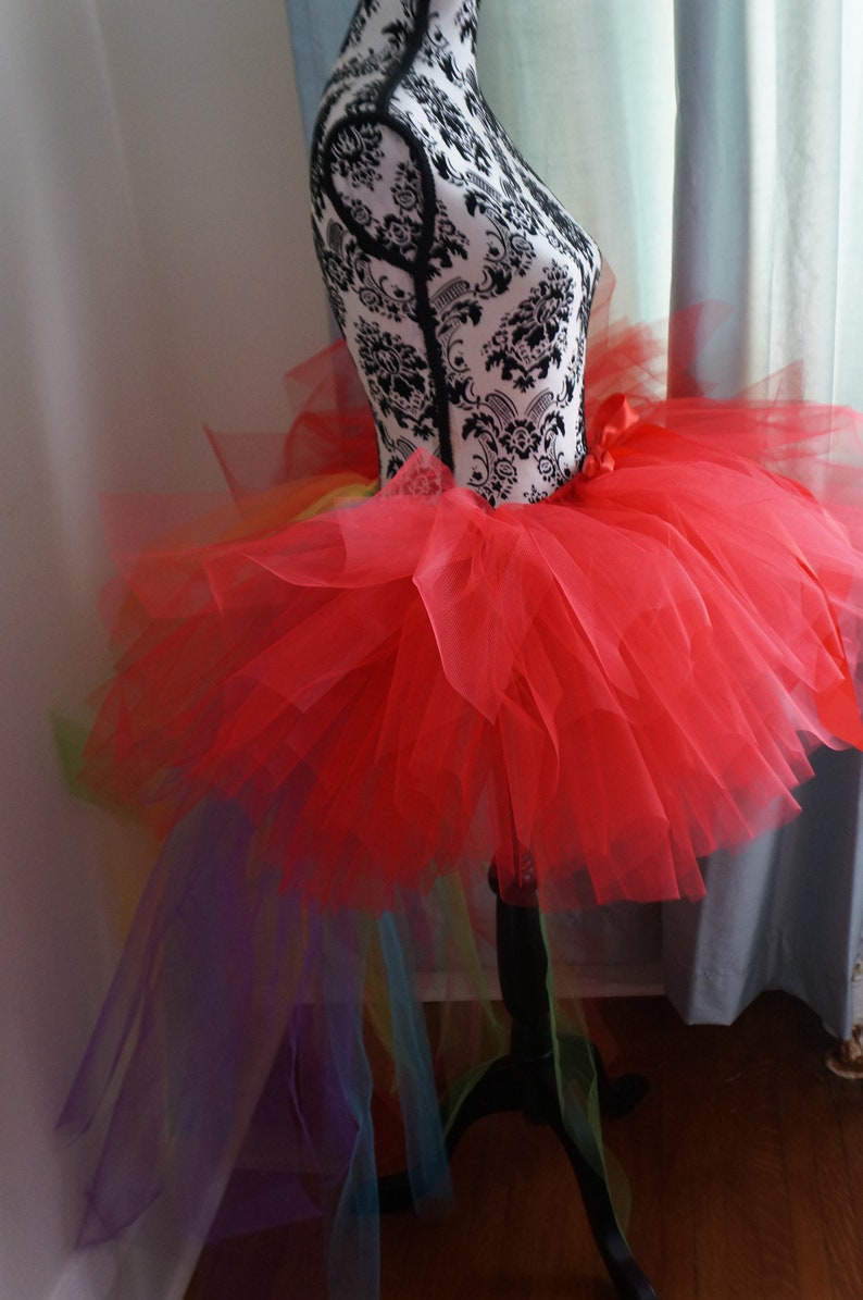 Adult Rainbow Bustle Tutu image 5