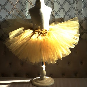 Gold Tutu Girl's Tutu image 2