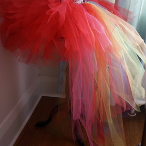 Adult Rainbow Bustle Tutu image 4