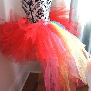 Adult Rainbow Bustle Tutu image 3