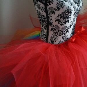 Adult Rainbow Bustle Tutu image 6