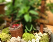 MIniature Garden Fence, Fairy Garden, Miniature Fairy Garden, Fairy Garden Furniture, Fairy Garden Supplies, Garden Decor