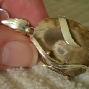 Petrified Wood Slab (Natural) 925 Sterling Silver Pendant