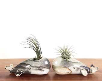 whale vase / whale air plant holder / whale bud vase / mottled grey whale