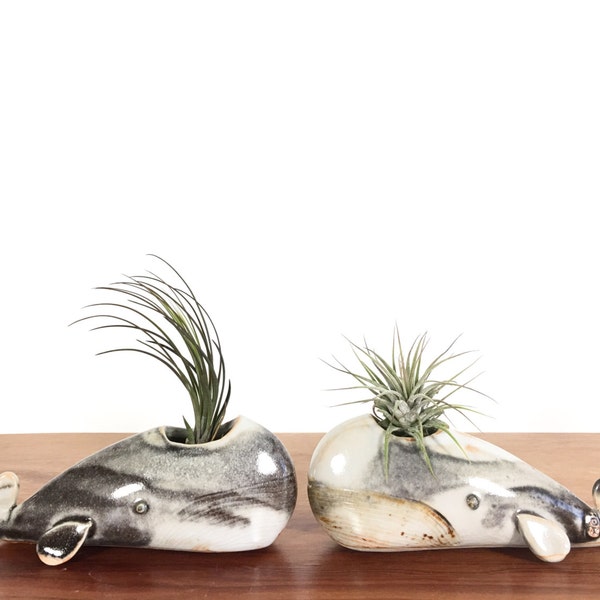 whale vase / whale air plant holder / whale bud vase / mottled grey whale