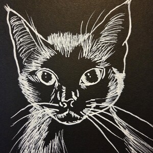 White Ink Cat Portrait on Black Paper – Hand-Drawn Whimsical Feline Art