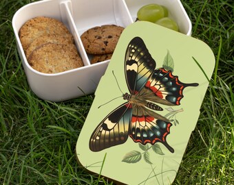Bento Lunch Box, Bento Box style, Butterfly Bento Lunch Box, Vintage Butterfly, Adult Bento Box, Teacher Lunch Box, Vintage Butterfly Design