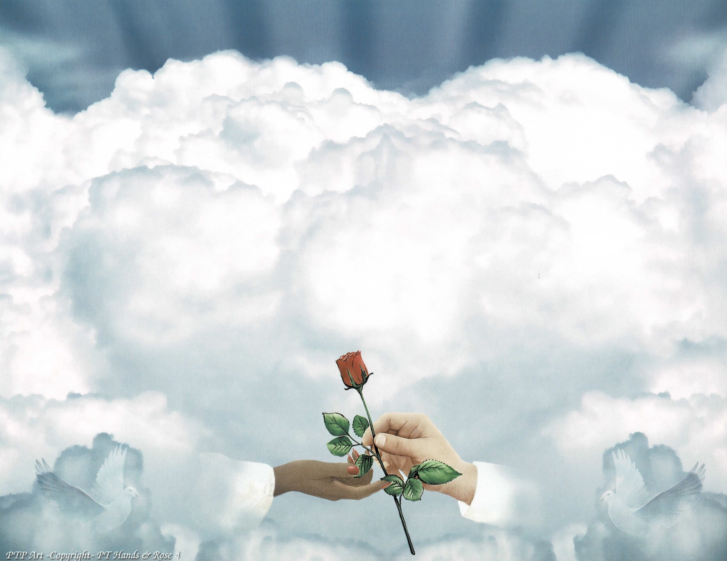 браки создаются на небесах. браки заключаются на небесах. фиктивный брак на небесах. брак совершенный на небесах. браки рождаются на небесах.