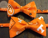 Dapper Sports Fan Bow Tie