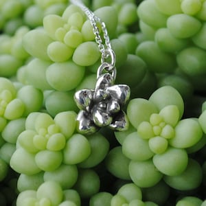Sterling Silver Succulent Necklace, Succulent Jewelry, Burros Tail, Donkey Tail, Sedum Morganianum