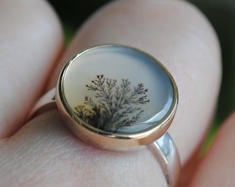 Dendritic Agate Ring, 14K Gold and Sterling Silver Dendritic Agate Jewelry (Ring Size 7.5, 7.75. 8)