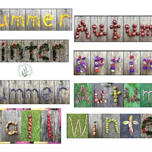 May include: A set of eight images showing the words "Summer", "Autumn", "Winter", "Spring", "Summer", "Autumn", "Fall", and "Winter" spelled out using natural materials like leaves, flowers, and berries.