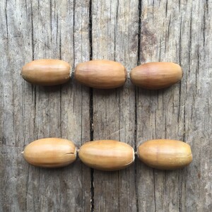 Conker and Acorn Counting Bundle | Etsy