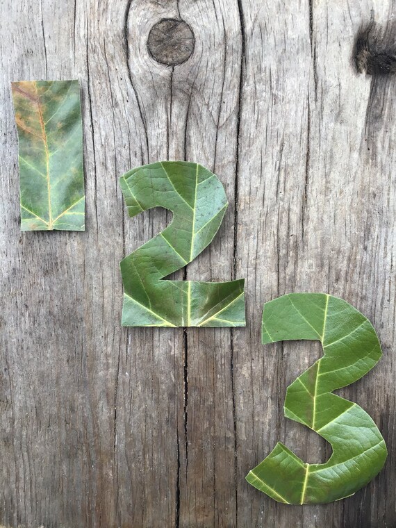 Leaf Bundle: Alphabet Numbers and 5s and 10s - Etsy Australia