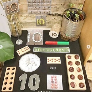 Conker and Acorn Counting Bundle Thekiwinatureteacher - Etsy