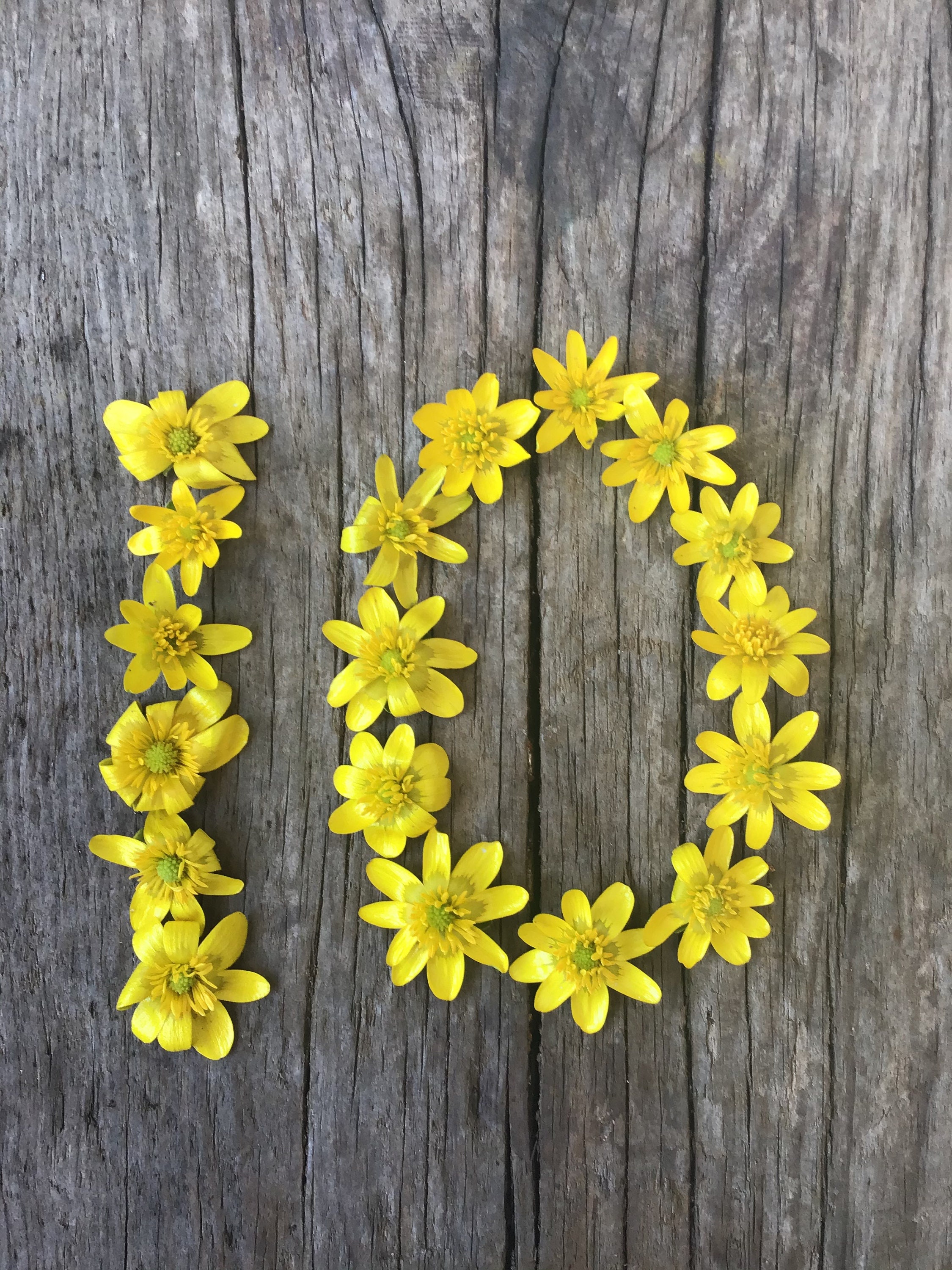 Flower Numbers Variety Bundle Etsy UK