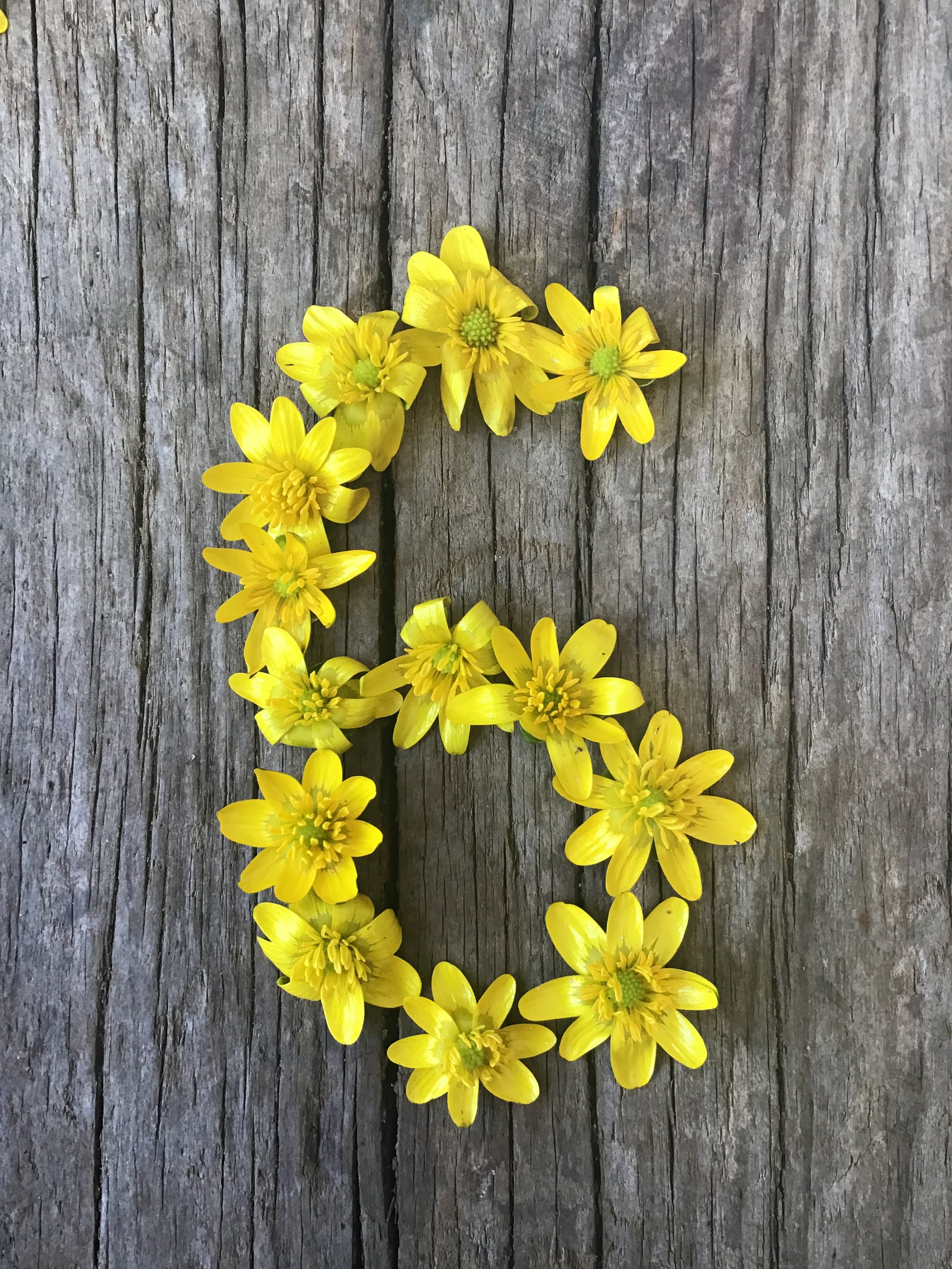 Flower Numbers Variety Bundle Etsy UK