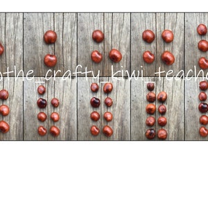 Conker and Acorn Counting Bundle | Etsy