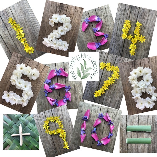 Flower numbers variety bundle