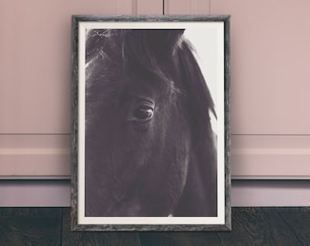 Foto di cavalli, fotografia Hasselblad, stampa di animali selvatici