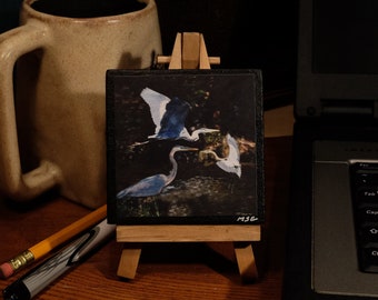 GREAT BLUE HERON   Mini 3”x3” Photo Canvas & Easel: Unique nature gift for Animal Lover or Bird Watcher’s home or desk décor. Free Shipping