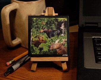 MOOSE  Mini 3”x3” Photo Canvas & Easel: Unique nature gift for Animal Lover or Bird Watcher’s home or desk décor. Free Shipping