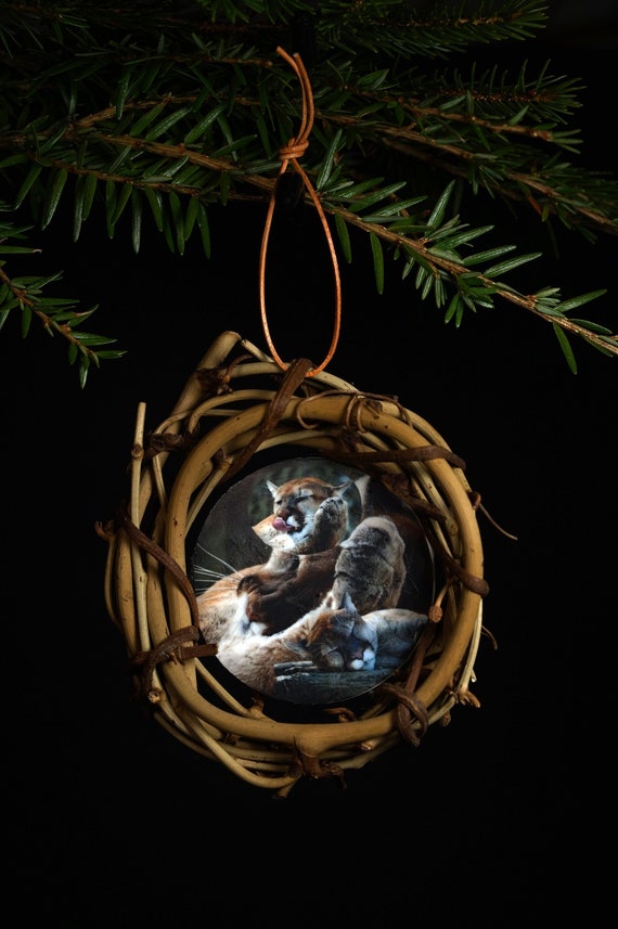puma decoration puma decoration