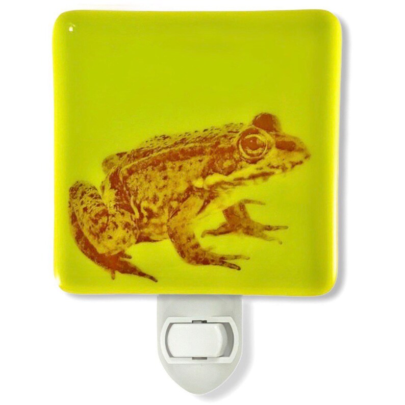 nature baby night light