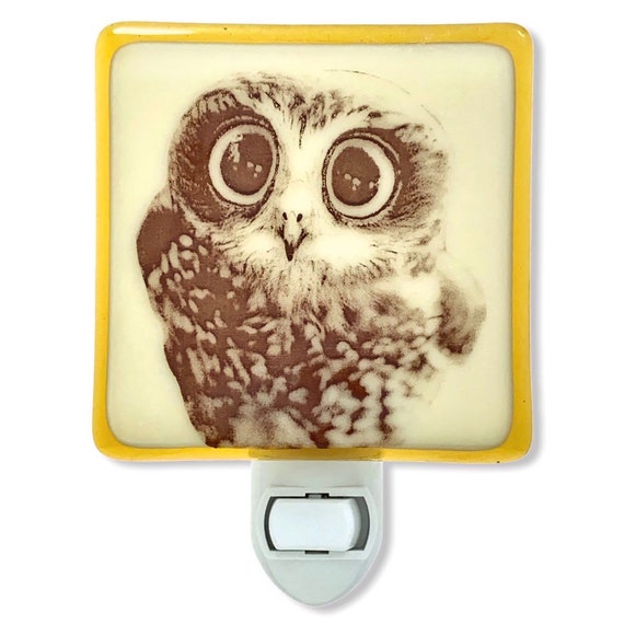 owl baby light