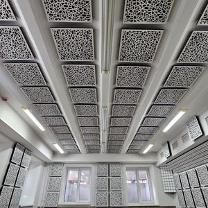 Puede incluir: Paneles acústicos de techo blancos con un patrón geométrico, instalados en una habitación con paredes blancas y luces fluorescentes.