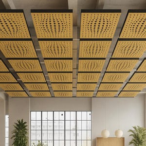 Puede incluir: Paneles acústicos de techo con un patrón repetitivo de cuadrados perforados en tono madera clara. Los paneles están dispuestos en una cuadrícula, con bordes negros, creando un elemento de diseño moderno en un espacio luminoso y abierto.