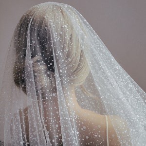 sparkle veil, cathedral veil with sparkle, glitter veil, sparkly veil - AURORA
