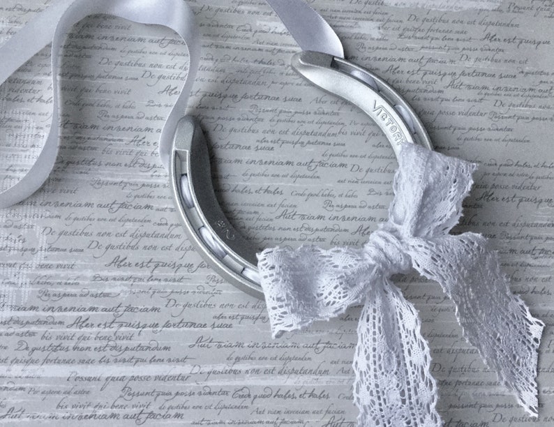 Lucky Wedding Gift Wedding horseshoe Lucky Wedding Horseshoe