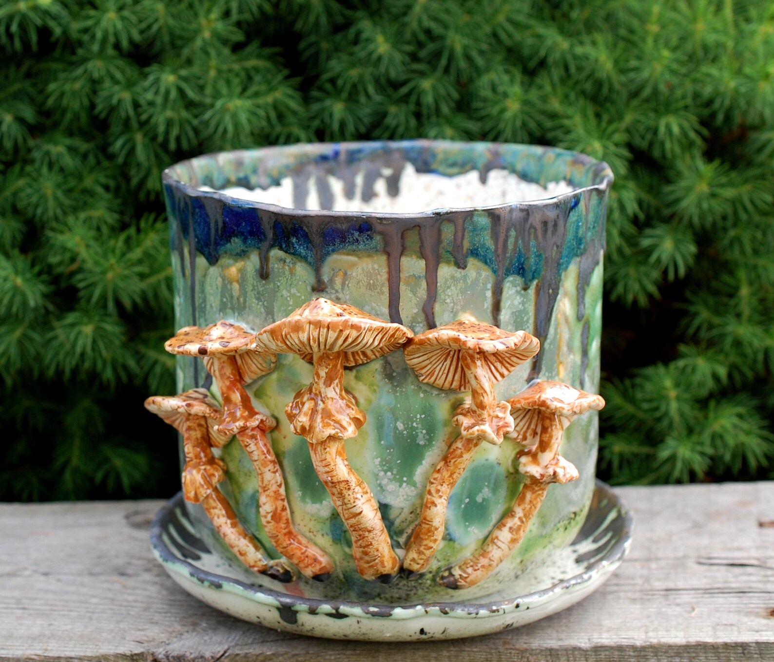 Plant pot Mushroom figurines Ornamental flowerpot Picturesque Etsy