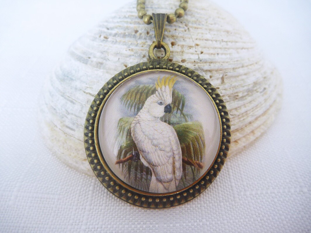 White Cockatoo Pendant Necklace Bronze Glass Dome Australian Etsy