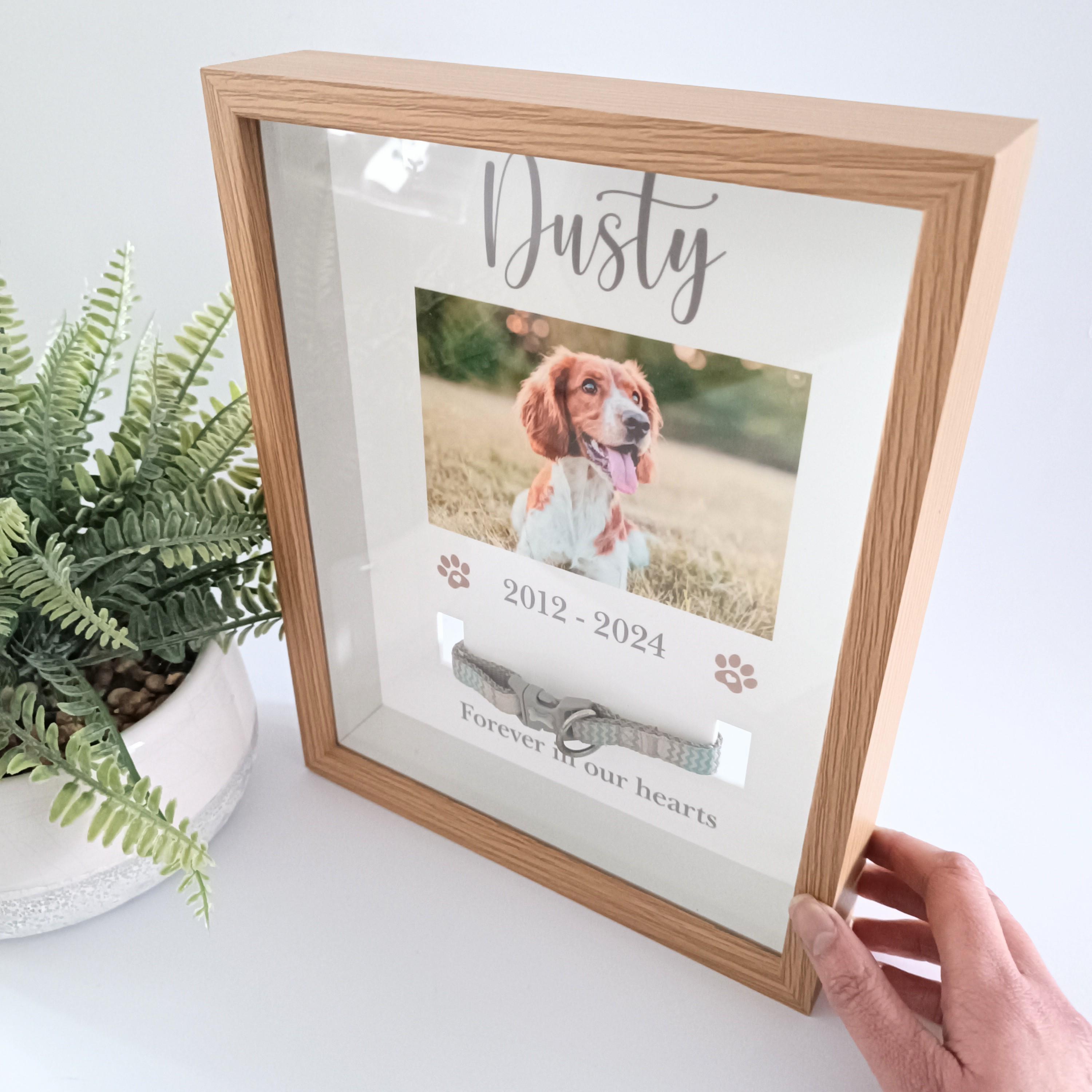 Pet Collar Frame | Pet Memorial Box Frame | Pet Loss | Pet Memorial Gift