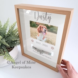 Pet Collar Memorial Frame | Pet Loss | Pet Memorial Gift